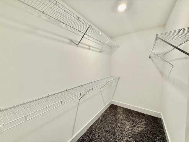 5608 Maples Retreat Dr, Murfreesboro, TN 37127 - view of walk in closet