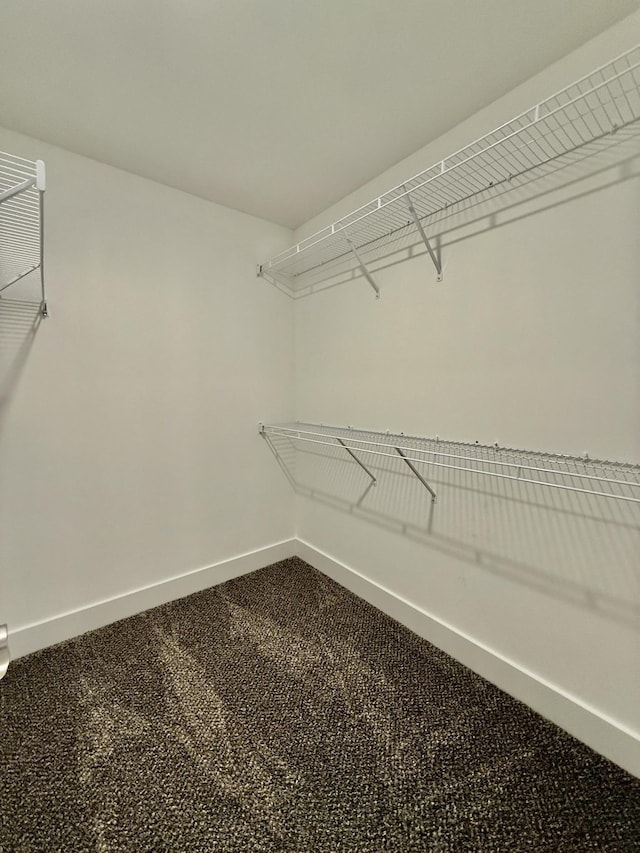 5608 Maples Retreat Dr, Murfreesboro, TN 37127 - spacious closet featuring dark carpet