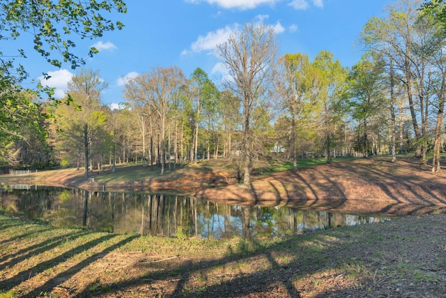 447 W Bangham Rd, Cookeville, TN 38501 - photo 40