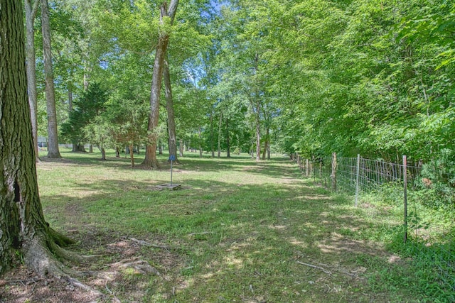 447 W Bangham Rd, Cookeville, TN 38501 - photo 47