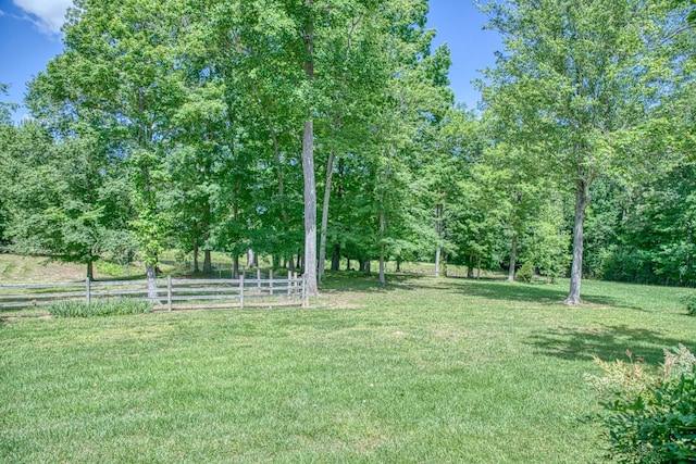447 W Bangham Rd, Cookeville, TN 38501 - photo 48