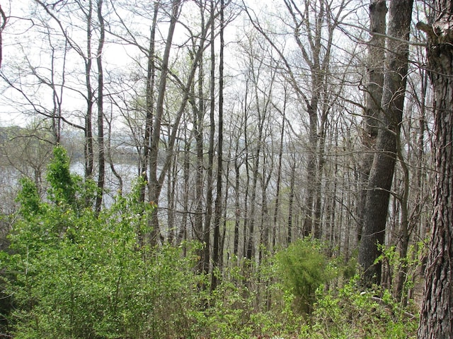 0 Bass Ln, Waverly, TN 37185