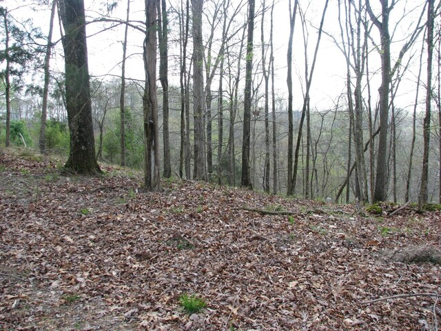 0 Bass Ln, Waverly, TN 37185