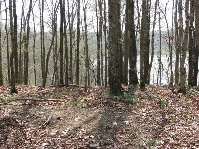 0 Bass Ln, Waverly, TN 37185