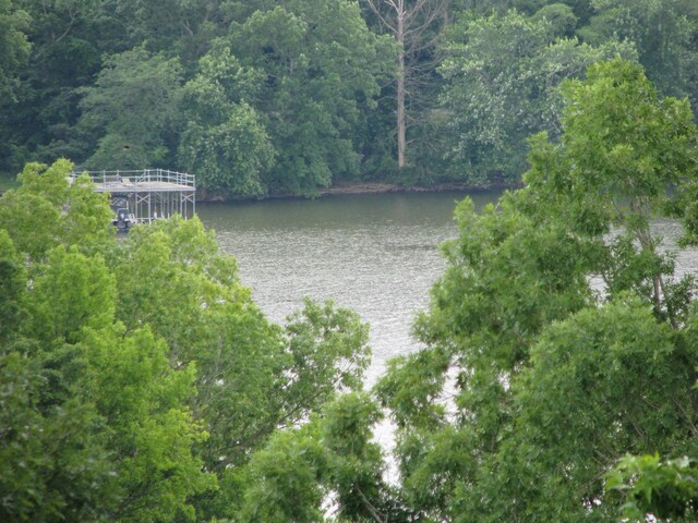 0 Bass Ln, Waverly, TN 37185