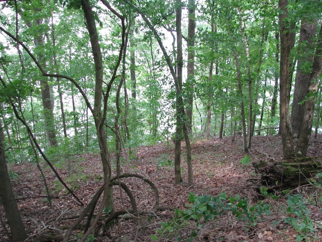0 Bass Ln, Waverly, TN 37185