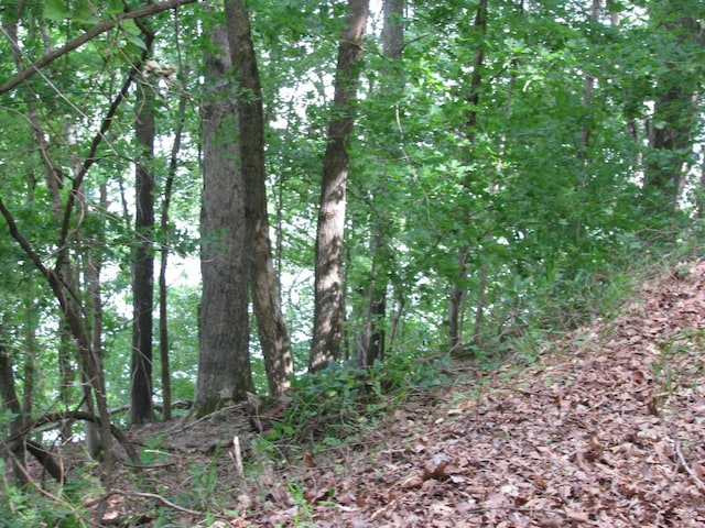 0 Bass Ln, Waverly, TN 37185