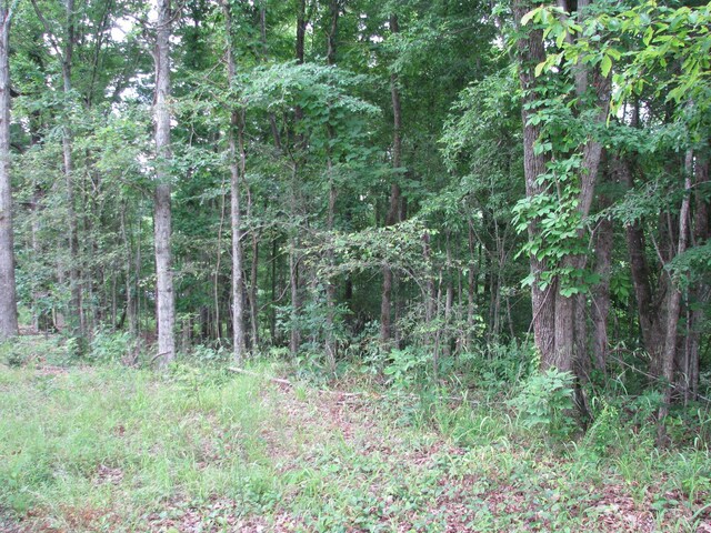 0 Bass Ln, Waverly, TN 37185