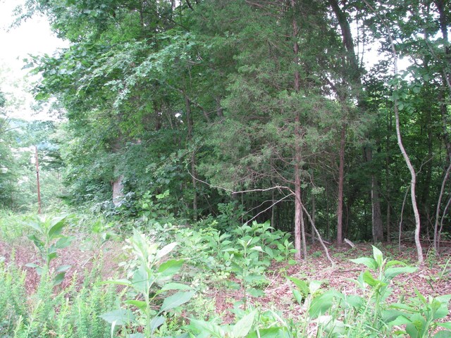 0 Bass Ln, Waverly, TN 37185