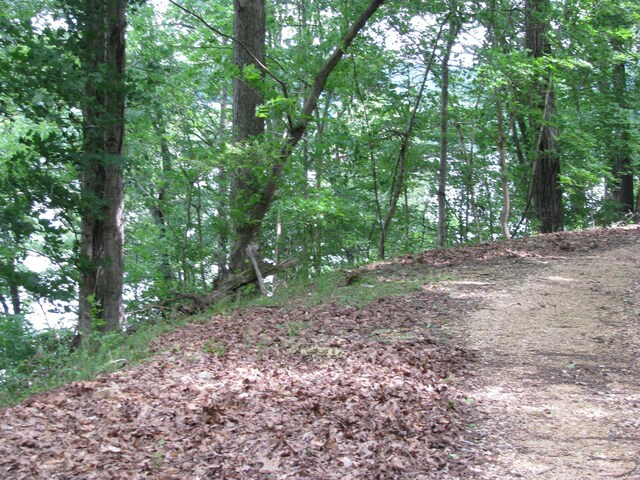 0 Bass Ln, Waverly, TN 37185