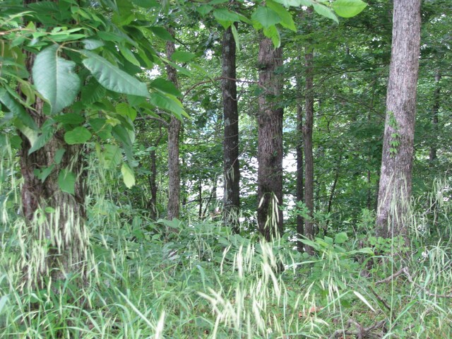 0 Bass Ln, Waverly, TN 37185