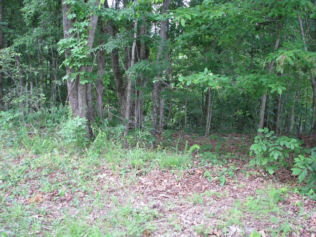 0 Bass Ln, Waverly, TN 37185