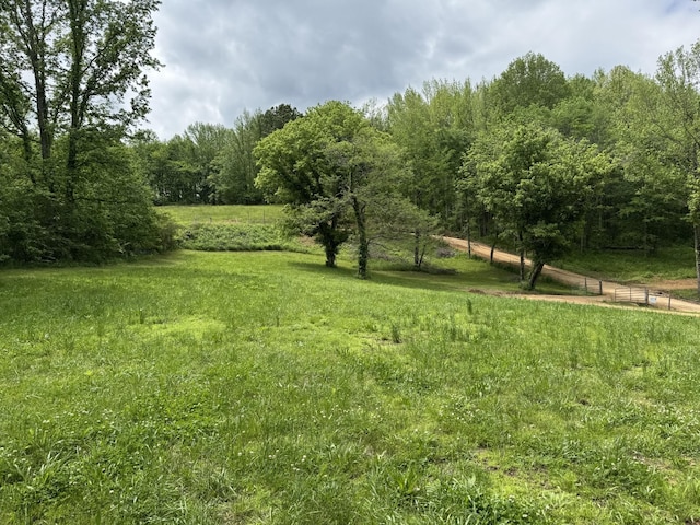 1829 Lobelville Hwy, Linden, TN 37096 - view of yard with a view of trees and a view of countryside
