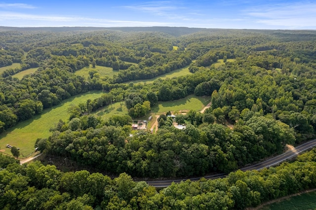 1829 Lobelville Hwy, Linden, TN 37096 - aerial view of a heavily wooded area