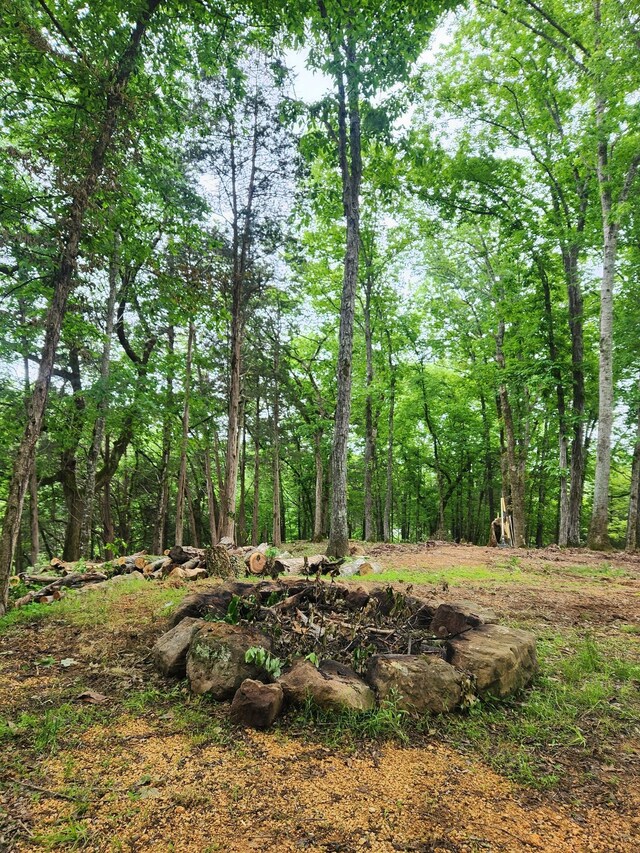 1829 Lobelville Hwy, Linden, TN 37096 - view of woods
