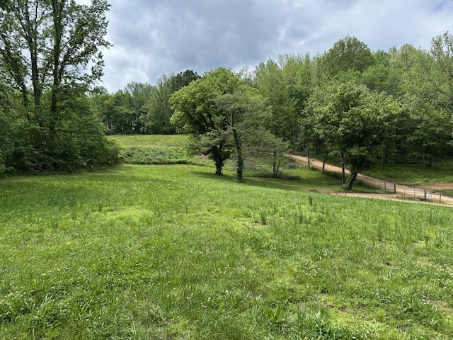 1829 Lobelville Hwy, Linden, TN 37096 - view of yard featuring a wooded view