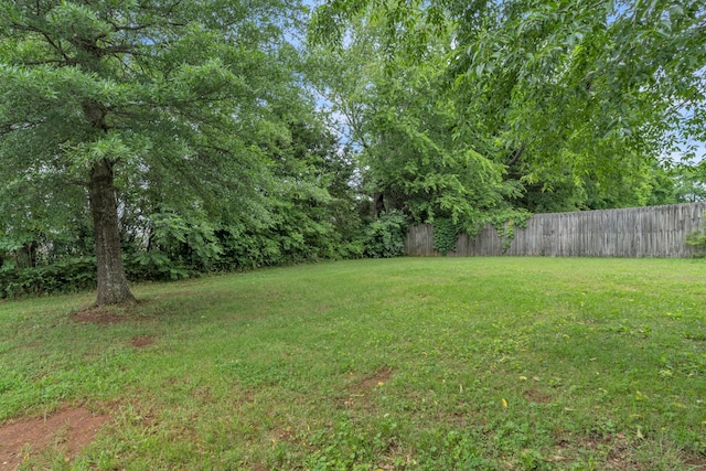 3471 Esquire Dr, Murfreesboro, TN 37130 - view of yard