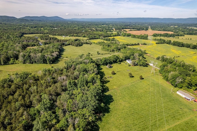 1151 Baker And Hearn Cir, Chickamauga, GA 30707 - overview of rural landscape with a mountain backdrop