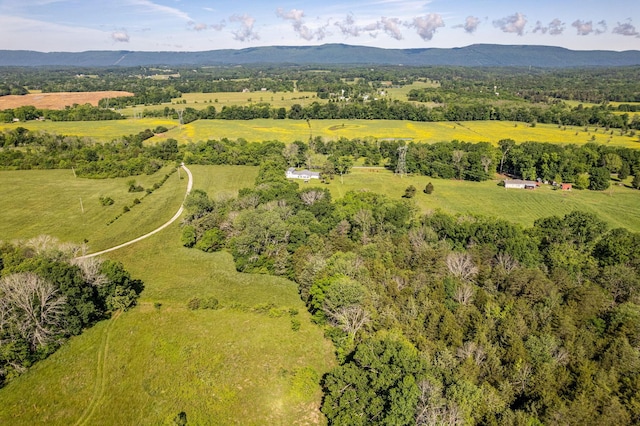 1151 Baker And Hearn Cir, Chickamauga, GA 30707 - view of rural area with a mountain backdrop