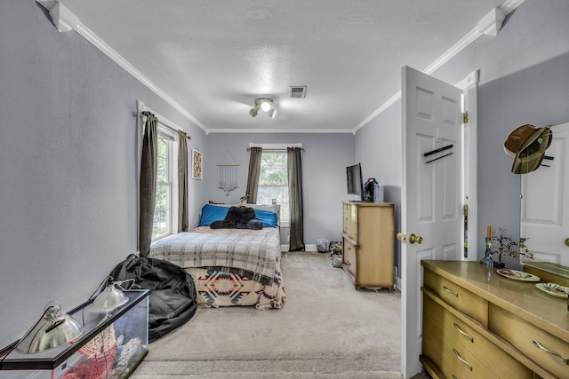 1151 Baker And Hearn Cir, Chickamauga, GA 30707 - bedroom featuring carpet floors, ornamental molding, and a textured ceiling