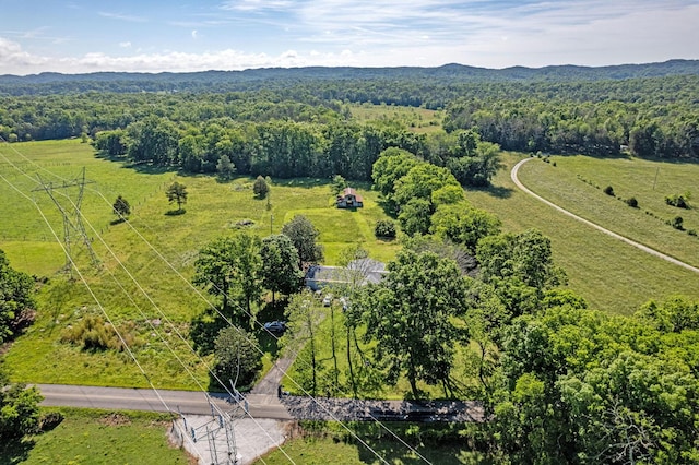1151 Baker And Hearn Cir, Chickamauga, GA 30707 - view of rural area with a heavily wooded area