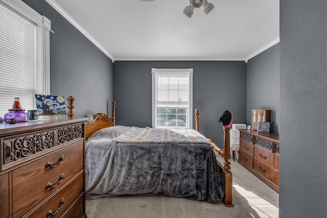 1151 Baker And Hearn Cir, Chickamauga, GA 30707 - bedroom featuring ornamental molding and light colored carpet