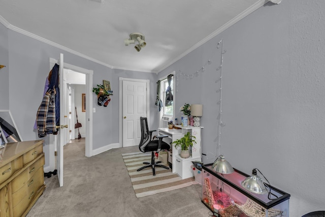 1151 Baker And Hearn Cir, Chickamauga, GA 30707 - home office with carpet flooring, crown molding, and baseboards