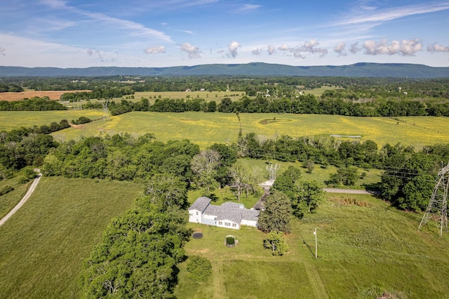 1151 Baker And Hearn Cir, Chickamauga, GA 30707 - overview of rural landscape with a mountain backdrop