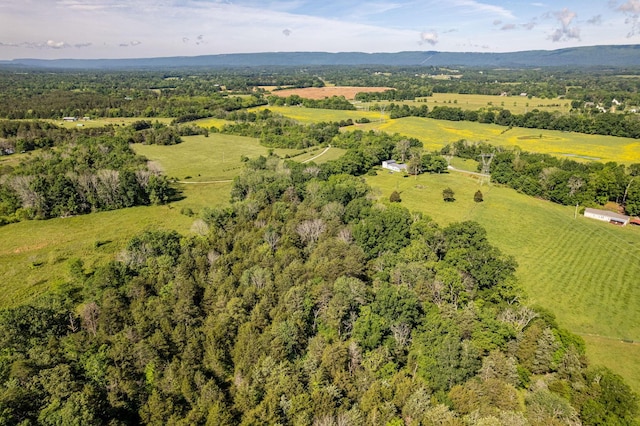 1151 Baker And Hearn Cir, Chickamauga, GA 30707 - view of rural area