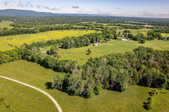 1151 Baker And Hearn Cir, Chickamauga, GA 30707 - drone / aerial view