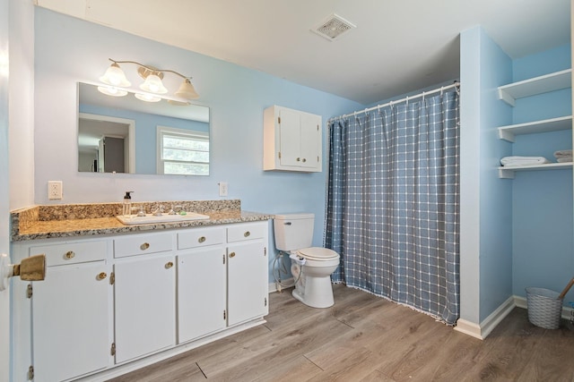 1672 Globe Rd, Lewisburg, TN 37091 - bathroom with toilet, wood finished floors, vanity, and a shower with curtain