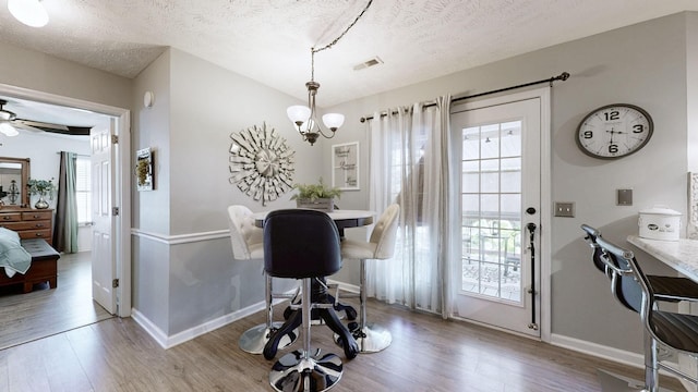 813 Chaney Woods Dr, La Vergne, TN 37086 - dining area featuring healthy amount of natural light, wood finished floors, a textured ceiling, and a chandelier