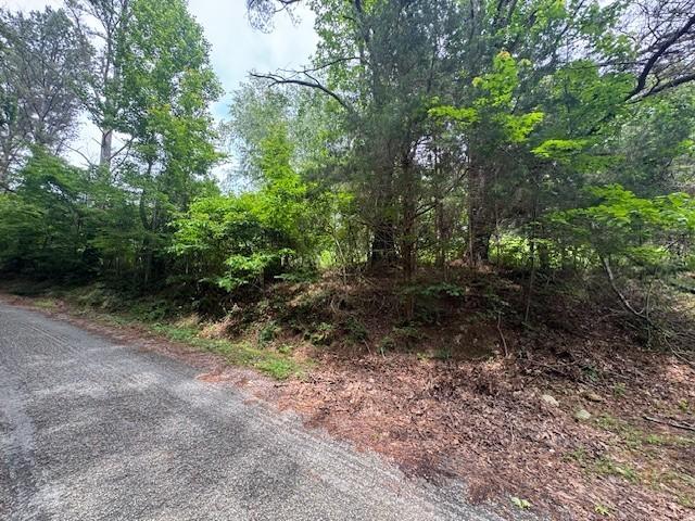 1970 Trace Creek Rd, Hohenwald, TN 38462