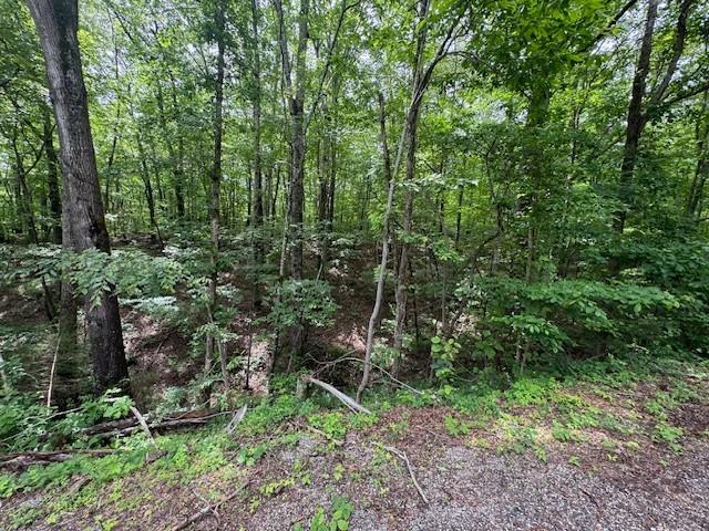 1970 Trace Creek Rd, Hohenwald, TN 38462