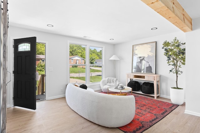 373 Kingview Dr, Nashville, TN 37218 - living area with light wood-type flooring, baseboards, and recessed lighting