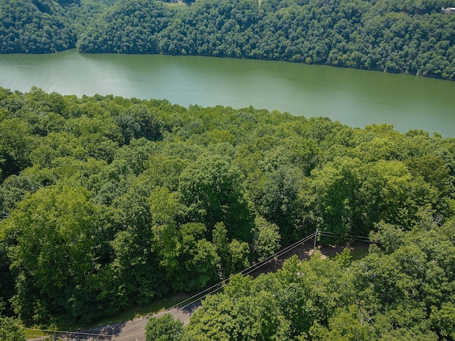 0 Bridge Pointe Rd, Sparta, TN 38583