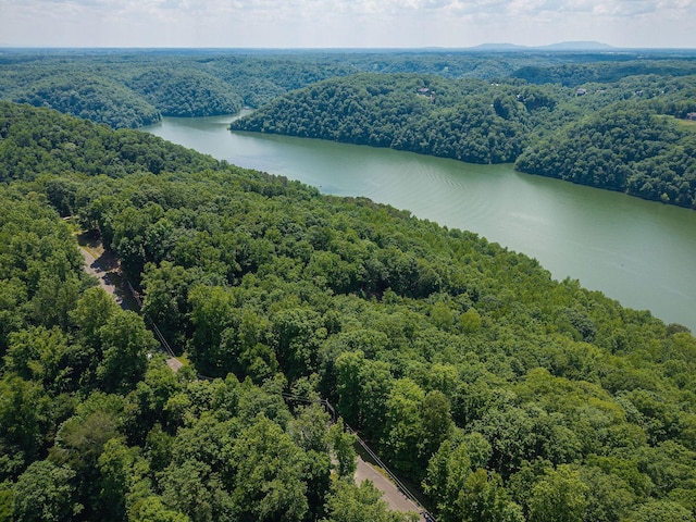 0 Bridge Pointe Rd, Sparta, TN 38583