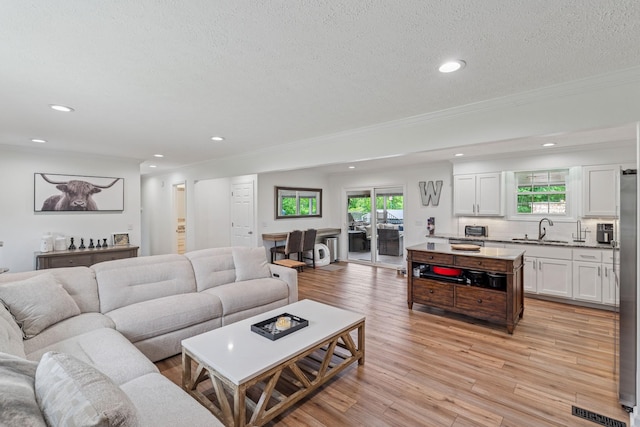1006 Indian Trl, Castalian Springs, TN 37031 - living area with recessed lighting, a textured ceiling, light wood-type flooring, and crown molding