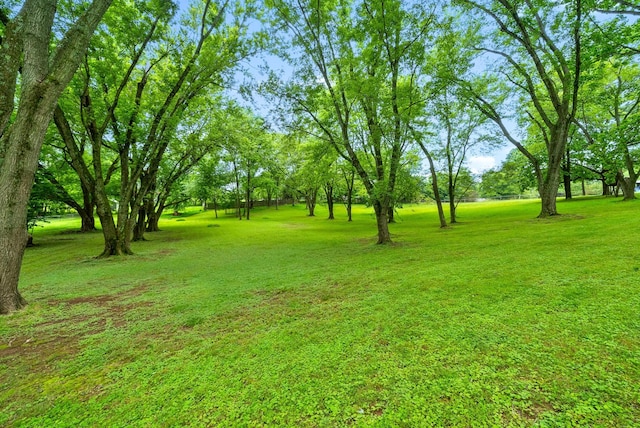 650 Pollard Rd, Clarksville, TN 37042 - photo 26