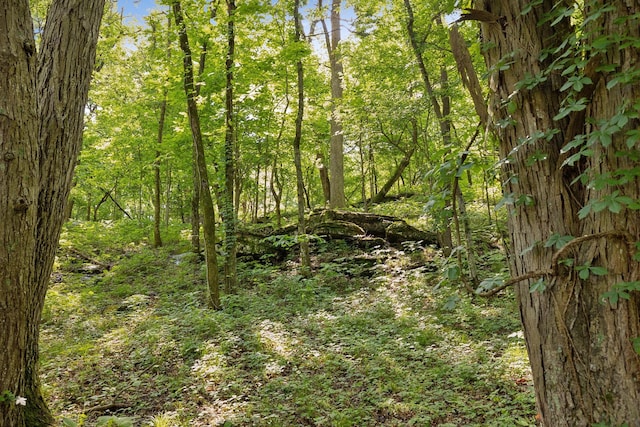 2681 York Rd, Nolensville, TN 37135