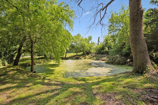 2681 York Rd, Nolensville, TN 37135