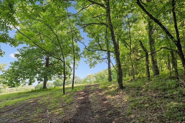 2681 York Rd, Nolensville, TN 37135