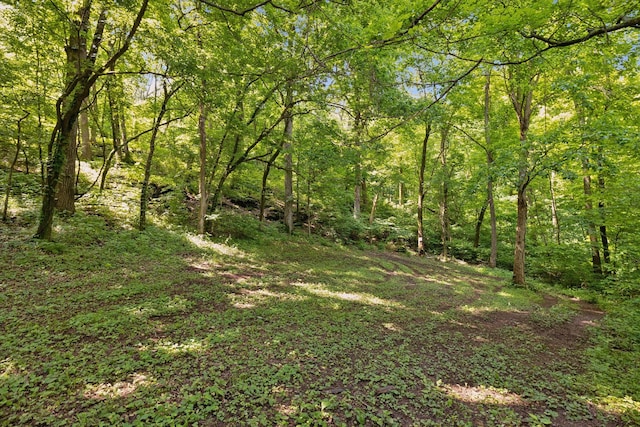 2681 York Rd, Nolensville, TN 37135