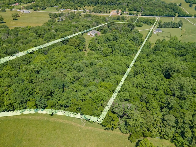 15687 Columbia Hwy, Lynnville, TN 38472 - aerial view of property's location with a forest and property boundaries highlighted