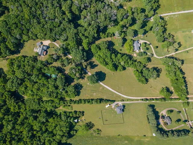 15687 Columbia Hwy, Lynnville, TN 38472 - view of property location featuring rural landscape