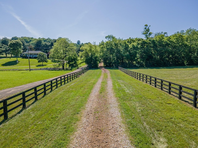 15687 Columbia Hwy, Lynnville, TN 38472 - view of street featuring a view of countryside