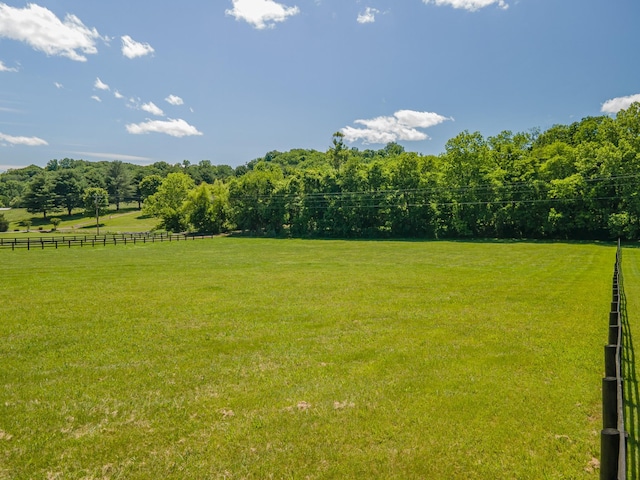 15687 Columbia Hwy, Lynnville, TN 38472 - view of yard with a view of countryside
