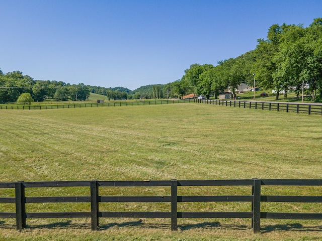 15687 Columbia Hwy, Lynnville, TN 38472 - view of yard featuring a view of countryside