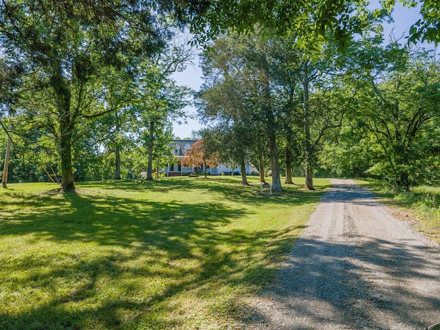 15687 Columbia Hwy, Lynnville, TN 38472 - view of street