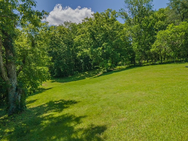 15687 Columbia Hwy, Lynnville, TN 38472 - view of grassy yard with a forest view